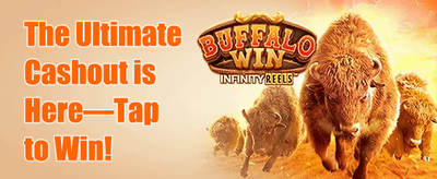 VIP Cashback Offer banner